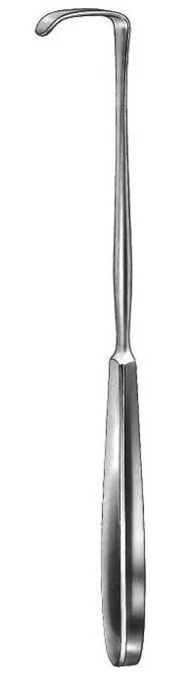 LANBECK EKARTÖR 50X11MM 22CM